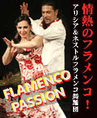 情熱のフラメンコ！アリシア＆ネストル フラメンコ舞踊団  ＦＬＡＭＥＮＣＯ　ＰＡＳＳＩＯＮ